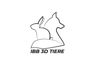 IBB 3D