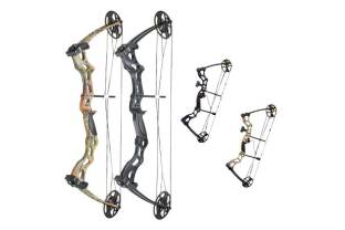 Compound Bows