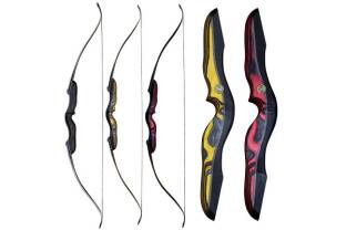 Recurve bows