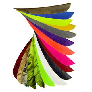 BESTSELLER!!! Pennino naturale BSW Speed Feather - diverse lunghezze, colori e forme