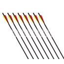 GOLD TIP Swift - Carbonbolzen - 14 Zoll