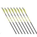GOLD TIP Ballistic - Carbonbolzen - 14 Zoll