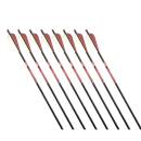 GOLD TIP Nitro - Carbonbolzen - 14 Zoll