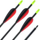 Carbon arrow | ExoSPHERE Prime - with Vanes - from 31 lbs