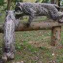 NATURFOAM Lynx - grimpant