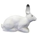 SRT Lapin polaire - Lapin blanc