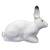 SRT Polar Bunny - Conejo blanco