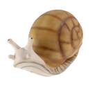 TC Targets - 3D Snail