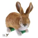 TC Targets - Rudi, the Rabbit