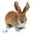 TC Targets - Rudi, the Rabbit