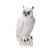 CENTER-POINT 3D Hibou des neiges - Made in Germany