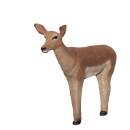 ASEN SPORTS Impala Antilope à talon noir - femelle