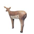 ASEN SPORTS Impala Antilope &agrave; talon noir - femelle