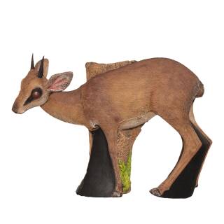 ASEN SPORTS Damara Dik-Dik Antilope naine avec écureuil