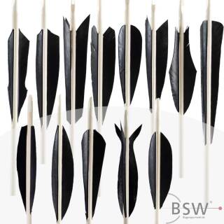 Feather forms | BSW Barred
