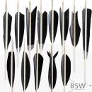 Feather forms | BSW Zebra