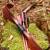 DRAKE Mongolia Bow - 48 inches - 18-30 lbs - Horsebow