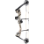 BEAR ARCHERY Arco compound Limitless RTH