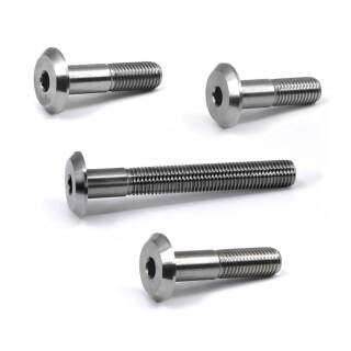 BEITER V-Box - Thread Screw - 5/16 inches-24 - various Lengths