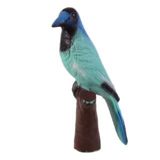 IBB 3D Green Jay