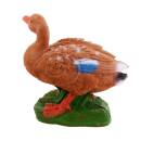 IBB 3D Canard