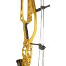 HOYT Invicta 40 DCX - Compoundbogen - 60-70 lbs - Rechtshand | 27.5 - 29.0 Zoll - Cam#2 - Jet Black