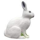 IBB 3D Polar hare - sitting