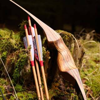 Arc Hybride DRAKE Archery Elite Streak – 62″ – 20-50 Lbs – Choix Droitier/gaucher