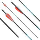 41-55 lbs | [PRICE TIP] Carbon arrow | SPHERE Hunter Pro...