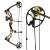 DRAKE Fossil - 30-70 lbs - Compound Bow