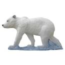 SRT Giovane orso polare