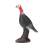 FRANZBOGEN - Standing Turkey Hen
