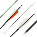 26-30 lbs | [PRICE TIP] Carbon arrow | SPHERE Slimline...