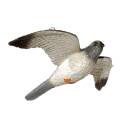 FRANZBOGEN - Falco pellegrino volante