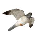 FRANZBOGEN - Halcón peregrino volador