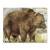 Bersaglio | Immagine di animali - orso bruno