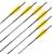 Complete arrow | SKYLON Ebony - Carbon - factory fletched - Pack of 6
