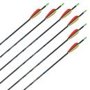 Complete arrow | SKYLON Radius - Carbon - factory fletched - Pack of 12