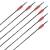 Complete arrow | SKYLON Radius - Carbon - factory fletched - Pack of 12