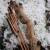 Poignée | DRAKE ARCHERY ELITE Timber Wolf - 17 pouces - ILF