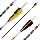 Complete arrow | BSW Special Series - D/A/CH - Carbon