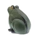FRANZBOGEN Grenouille