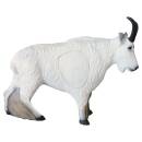 LEITOLD Mountain goat