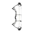 DIAMOND Arco de poleas Infinite 305 (7-70lbs)