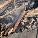 ORIGIN OUTDOORS Fatwood Maya Stick - Allume-feu
