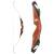 BEAR ARCHERY Take Down - 56-64 pouces - 30-70 lbs - Arc recurve