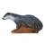 InForm 3D Badger