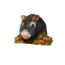 Ratto grigio InForm 3D