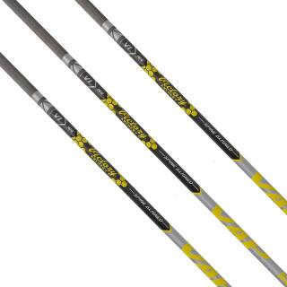 Asta | VICTORY ARCHERY VAP Target - V1 - Elite - Carbonio