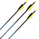 Complete arrow | AVALON Classic - Carbon - 32 Inches -...
